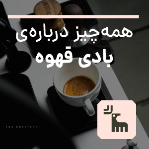 بادی قهوه - تی دی اس رُستری