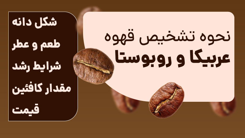 نحوه تشخیص قهوه عربیکا از روبوستا - تی دی اس رُستری