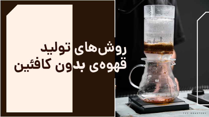 روش تولید قهوه‌ی بدون کافئین - تی دی اس روستری