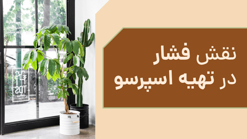 تاثیر فشار بر کیفیت اسپرسو - تی دی اس روستری