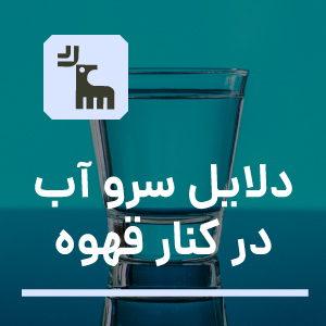 دلایل سرو آب در کنار قهوه - تی دی اس رُستری