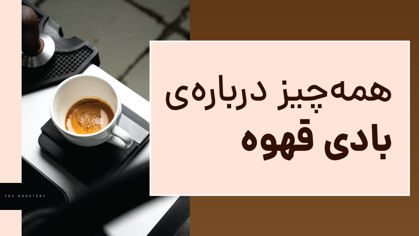 همه چیز درباره بادی قهوه - تی دی اس رُستری