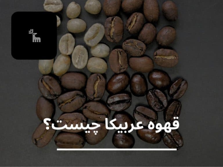 قهوه عربیکا چیست؟